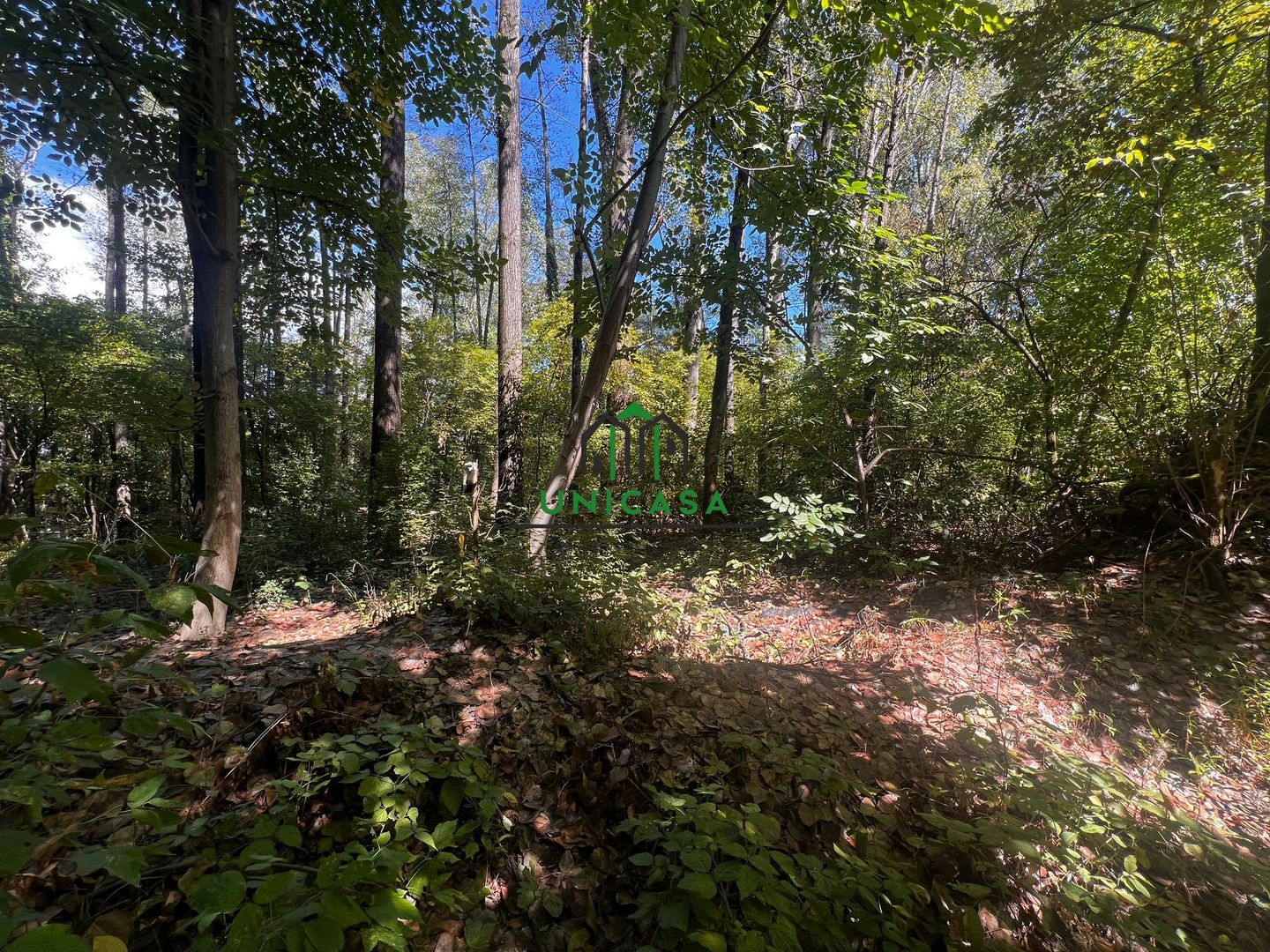 Teren zona Nord/ 6000 mp - Poză 2