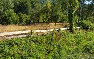 TEREN INTRAVILAN ZĂVOI\ZONA VALEA BISTREI, JUD.C-S - Poză 6