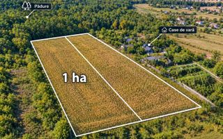 1Ha Agricol or.Ialoveni - Poză 1