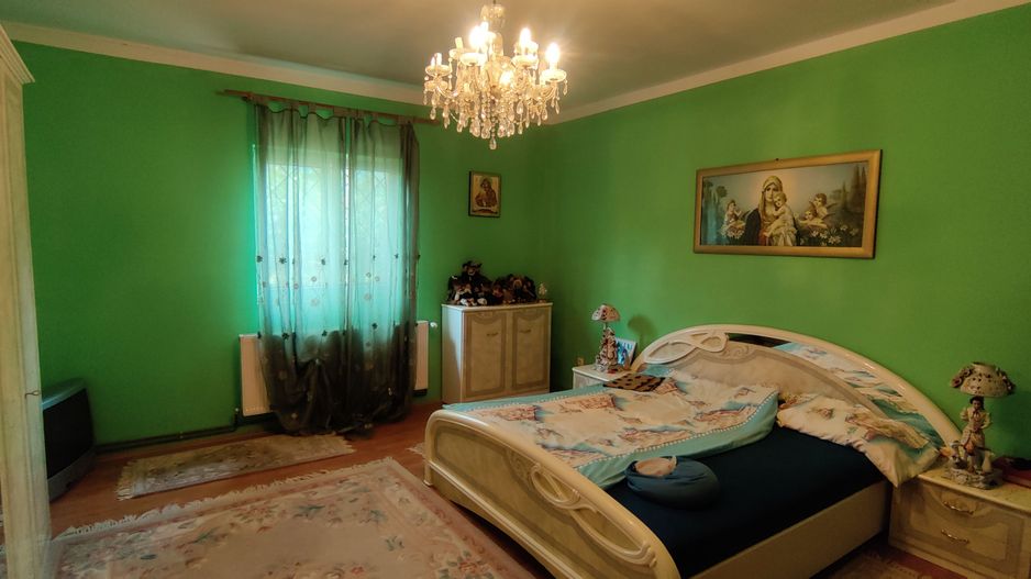 CASA INDIVIDUALA SI HALA CU TEREN  4000 MP - Poză 7