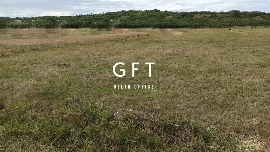 TEREN INTRAVILAN 5000 mp-ideal case,hale-Livezile PRET PROMO! - Poză 1