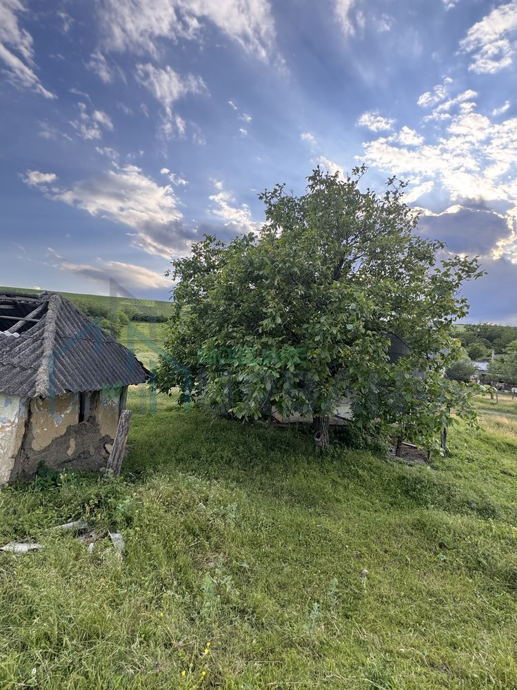 Teren intravilan de 6000 mp in Coarnele Caprei, Valea Babei, cu iesire la strada principala - Poză 4