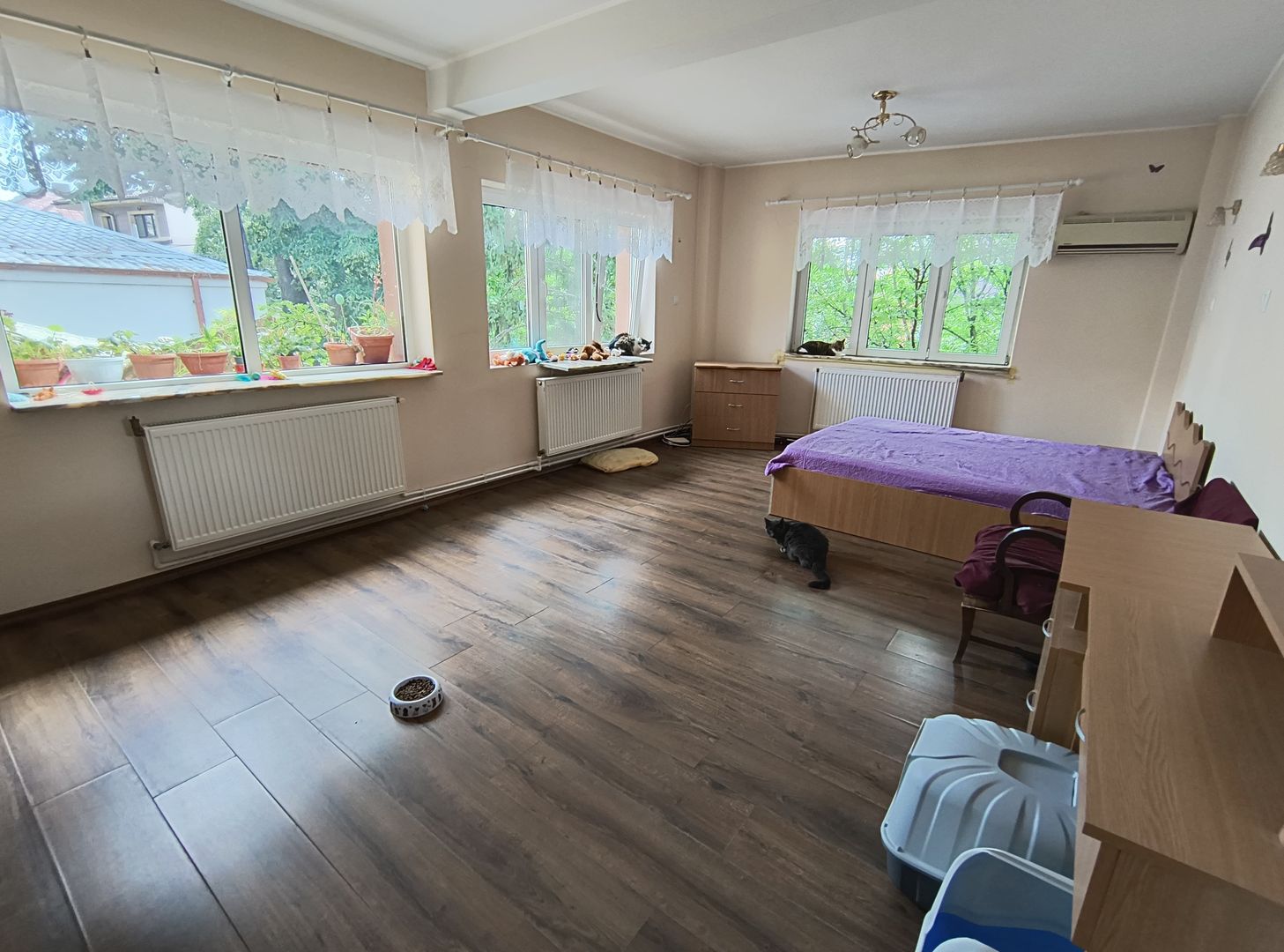 Calea Grivitei- Podul Grand - Poză 10