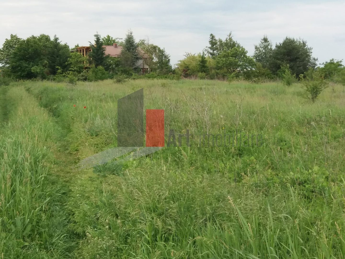 Teren Buftea cu iesire la lac - Poză 18