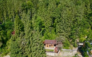 🏡 Casă/Cabană pe malul Lacului Bicaz,  ciubăr&saună - Poză 2