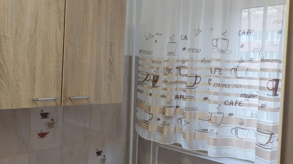 Garsoniera zona Costin Georgian - Lucretiu Patrascanu - Poză 13