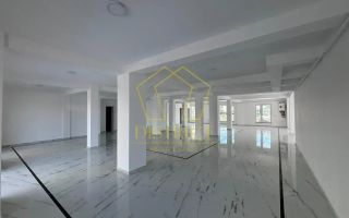 SAD 50-100mp VAD comercial | Dumbravita - Poză 1