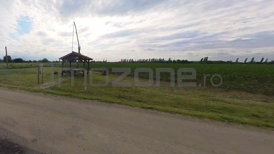 Teren | 21.000 mp | Moara Vlasiei | Caciulati | la cateva minute de A3 - Poză 3