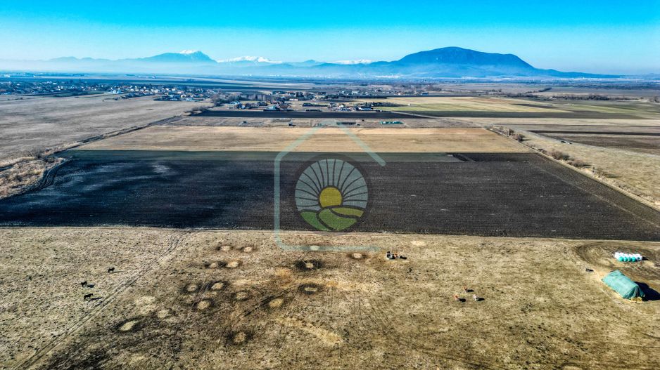 TEREN STUPINI-COMISION 0 - Poză 4