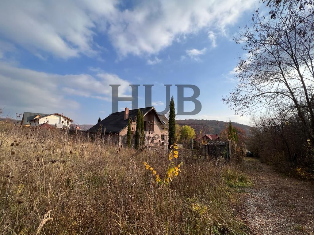 TEREN 1095MP -PODIS -DN 2G- BACAU -MOINESTI - Poză 2