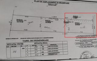 Teren extravilan Sfântu Gheorghe 2.979 m² - Poză 6