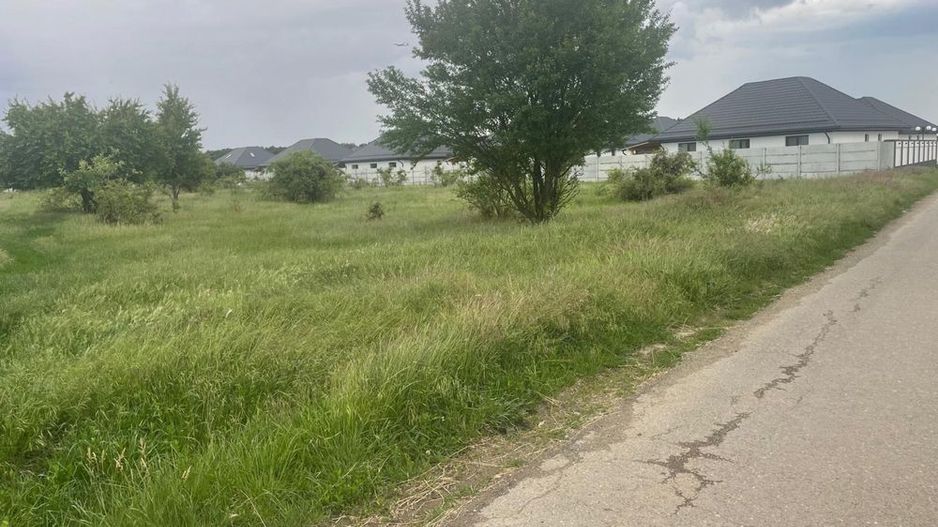 Teren 5.000 mp | Tamași – Corbeanca | Lângă Pădure | Utilități - Poză 2