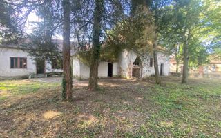 VILA DE VANZARE IN BALINT - Poză 5