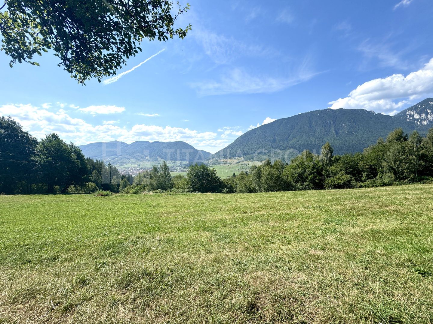 Platou montan, 6631 mp intravilan, electricitate,  langa pădure - Poză 3