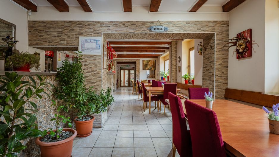 Afacere HoReCa de preluat – Pizzeria Venezia, Arad - Poză 5