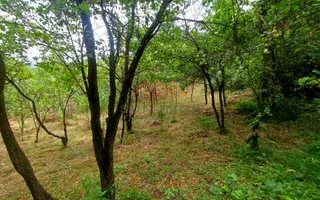 CASĂ DE VACANȚĂ DE VÂNZARE | TELEGA | 1.006 MP TEREN | 85.000 euro - Poză 19