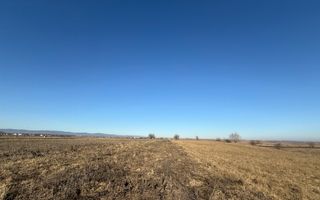 Teren extravilan | Rădăuți | 600 m de centură | 20 m front - Poză 2