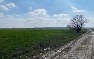 Teren Intravilan Snagov - Poză 1