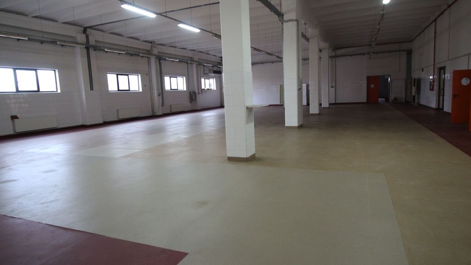 Hala productie    - Calea Torontalului de vanzare - Poză 4