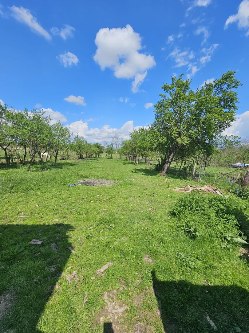 Casa la tara in Rogoz, Bihor, teren 1427 mp, acces auto - Vanzare - Poză 7