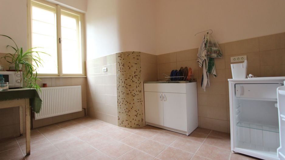 Apartament spatios 3 camere,zona medicina cu garaj si boxa - Poză 4