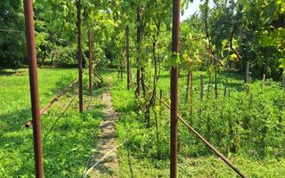 Casa individuala cu teren generos - Poză 7