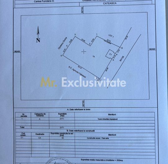 Teren intravilan 2171 mp Cateasca Arges, deschidere 49 ml  - Poză 3