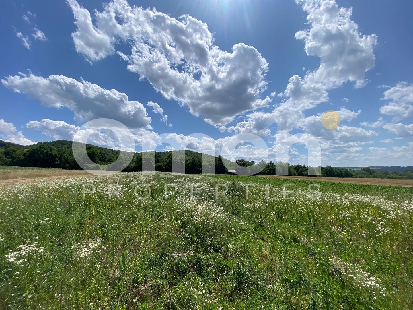 Teren de vanzare in Coas, zona linistita - Poză 2