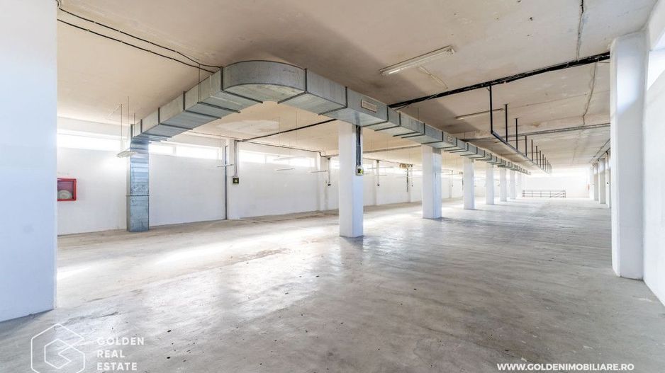 Hala pentu productie In zona Micalaca - Poză 5