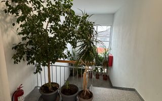 Spatii birouri de inchiriat renovate moderne L329 - Poză 8