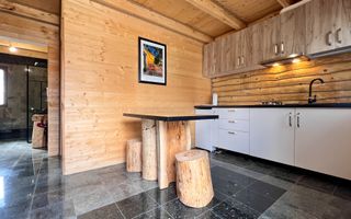 Apartament 1 camera in regim hotelier, Casa TIMIS - Poză 2