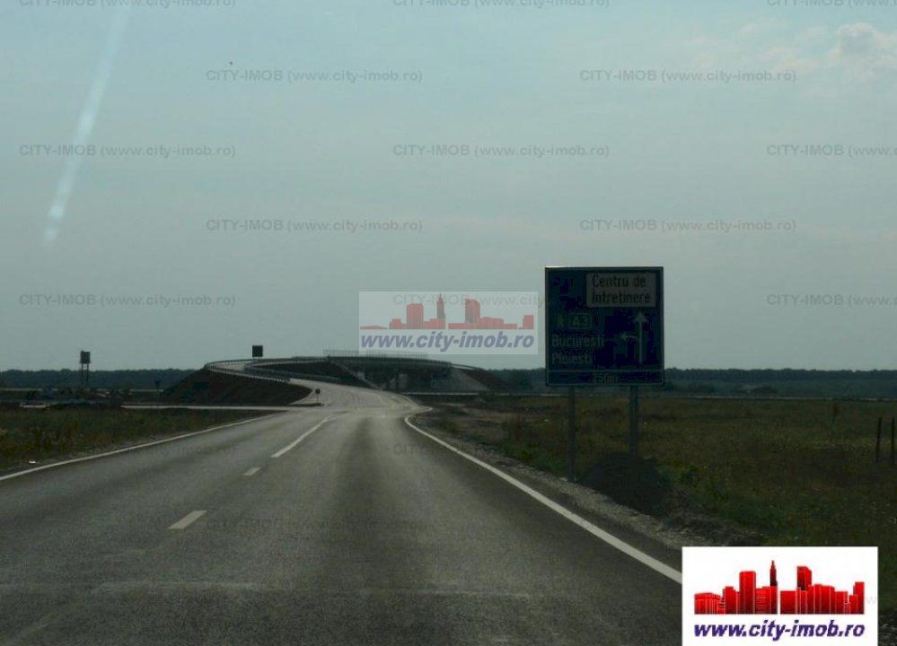 Vanzare Teren - intravilan - Snagov - Poză 6