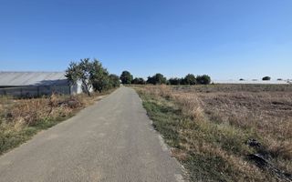Teren 7 euro mp str asfaltata langa padure Colibasi Campurelu - Poză 3