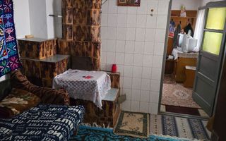 Proprietate cu două case| Comuna Fartatesti - Poză 12