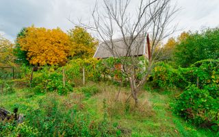 Lot pomicol de 6 ari în Ialoveni, cu construcție auxiliară. - Poză 9
