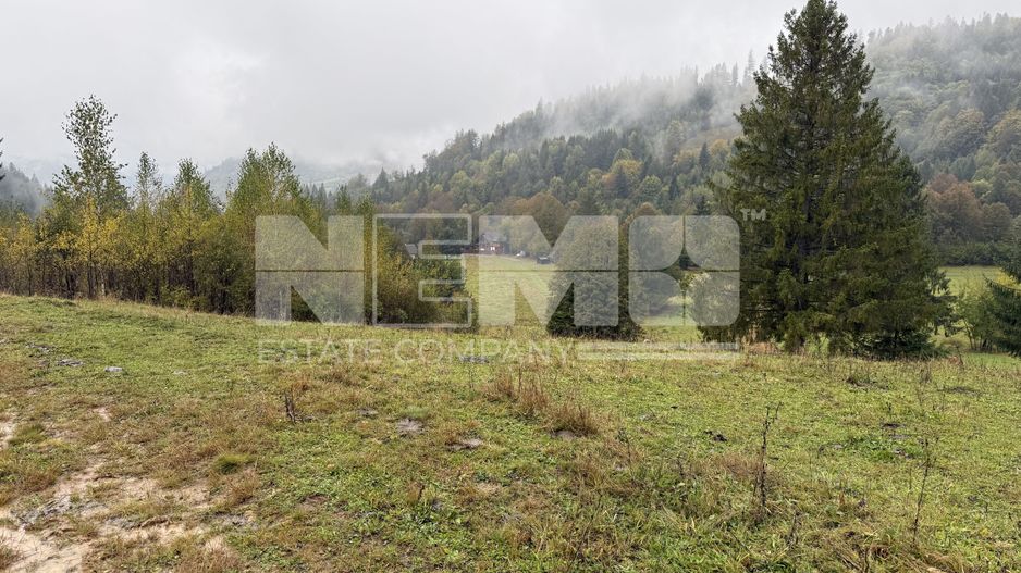 Teren Extravilan | 6.100 mp | Brodina | 41.500 € negociabil - Poză 9