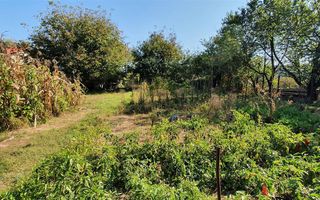 Casa cu 5 camere, 1500 mp teren, Centru. Pretabila pentru muncitori - Poză 3