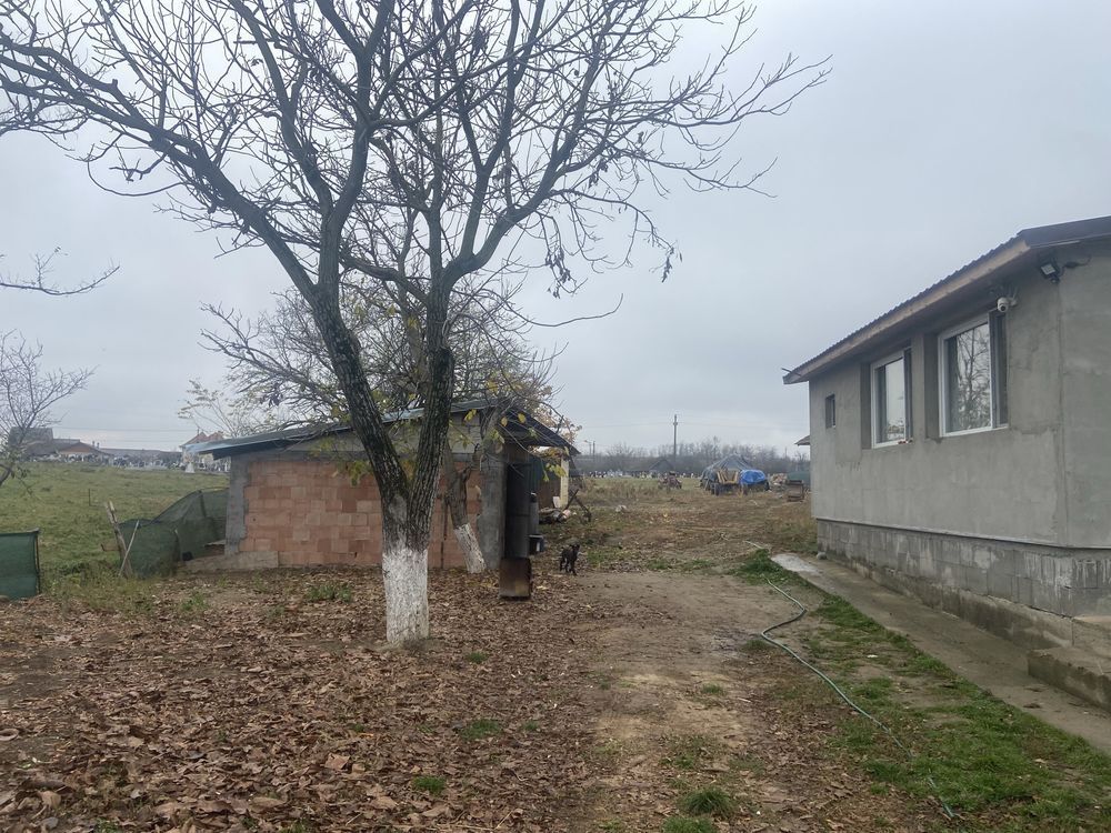 BRASADAS vinde casa in Supuru de Jos. - Poză 5