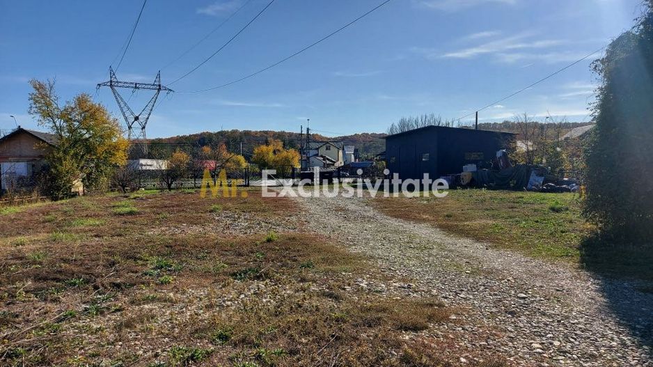 De închiriat: Hale si locuință pe 3 000 mp/ Bascov - Argeș - Poză 10