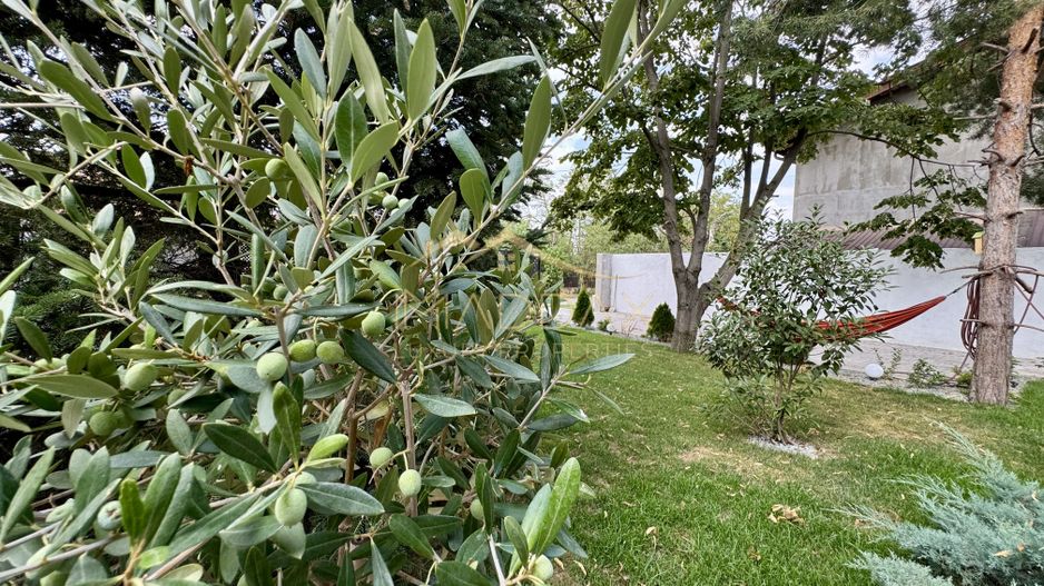 Vila cu 5 camere // * 565 mp gradina* // Tunari - Poză 87