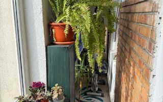 Apartament 3 camere Crângași BCR - Poză 9