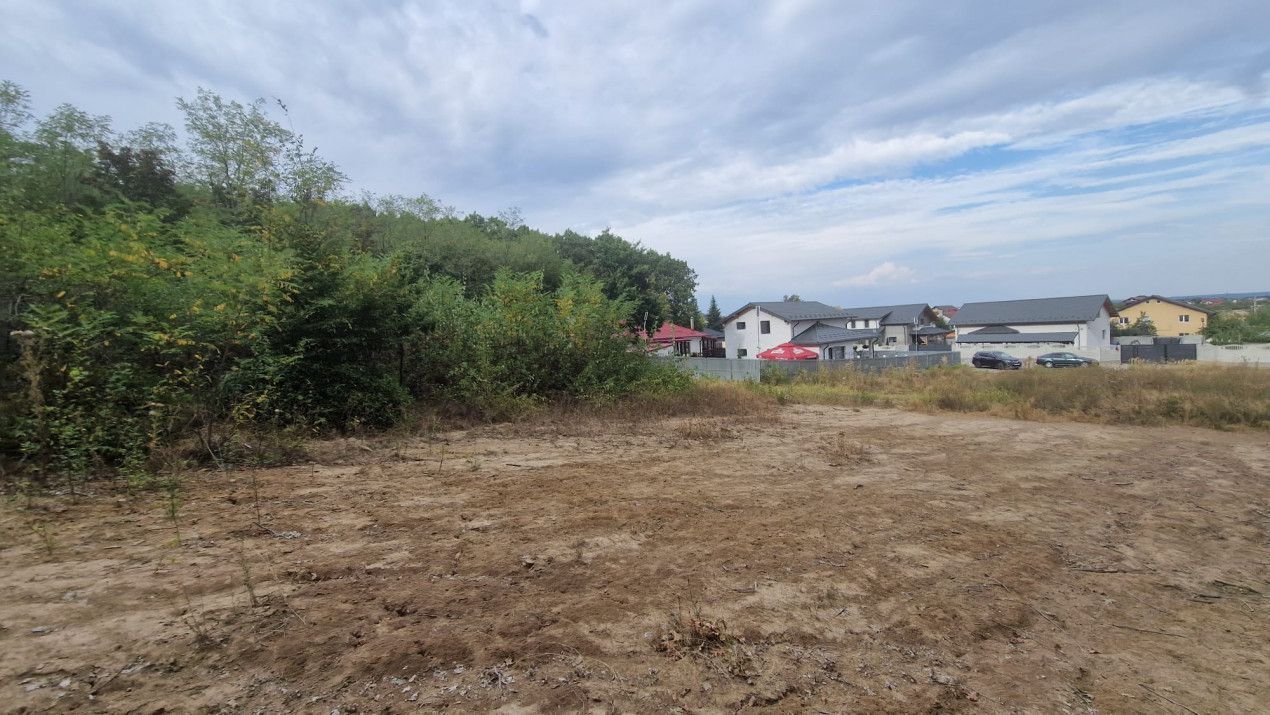 AZURA Imobiliare - Vanzare teren Hintesti, langa padure, 300m din DN - Poză 10