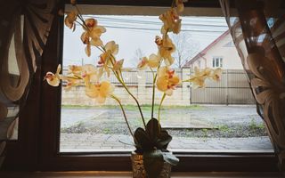 INCHIRIAT - Apartament 2 camere - Dumbravita Lidl - mobilat & utilat complet - Poză 21