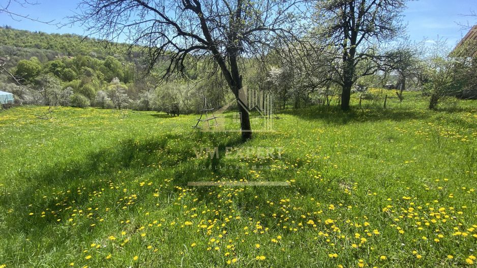 TEREN INTRAVILAN 3265 MP, VALEA MARE PRAVAT, ARGES - Poză 3