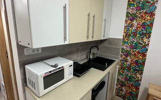 Apartament 1 camera la Mansarda - Poză 3