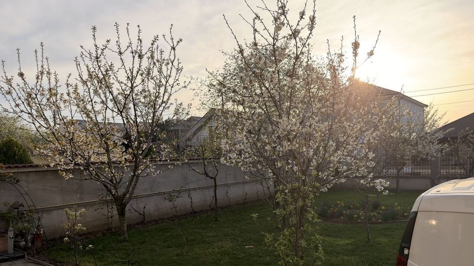 Casă individuală P+M în Eurocartier Brestei – Craiova | 505mp - Poză 13