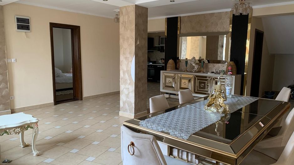 Duplex premium în vatra veche a localității Moșnița Veche - Poză 4