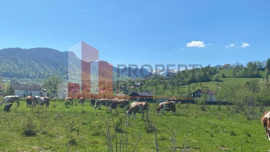 Teren Bran/ Predelut 10.663 mp. - Poză 2