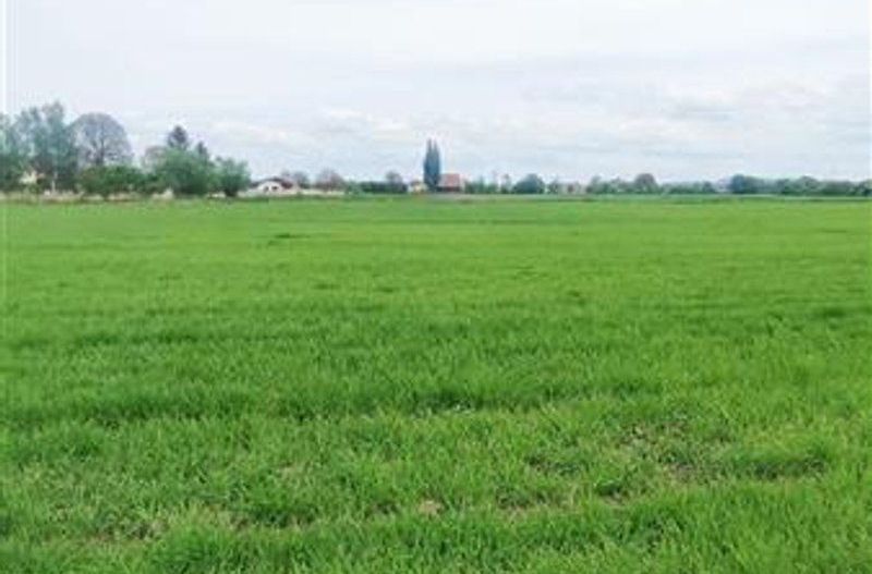 teren intravilan Stupini-Albinelor - Poză 4