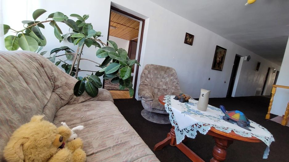 Pensiune + fermă piscicolă (sturion/caviar) | Saru Dornei/Sarisor - Poză 30